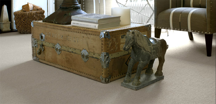 Brockway Carpets aurelia 1