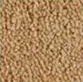Penthouse Carpets Carlton Twist at Kings of Nottingham for the best price on all Penthouse carpets.