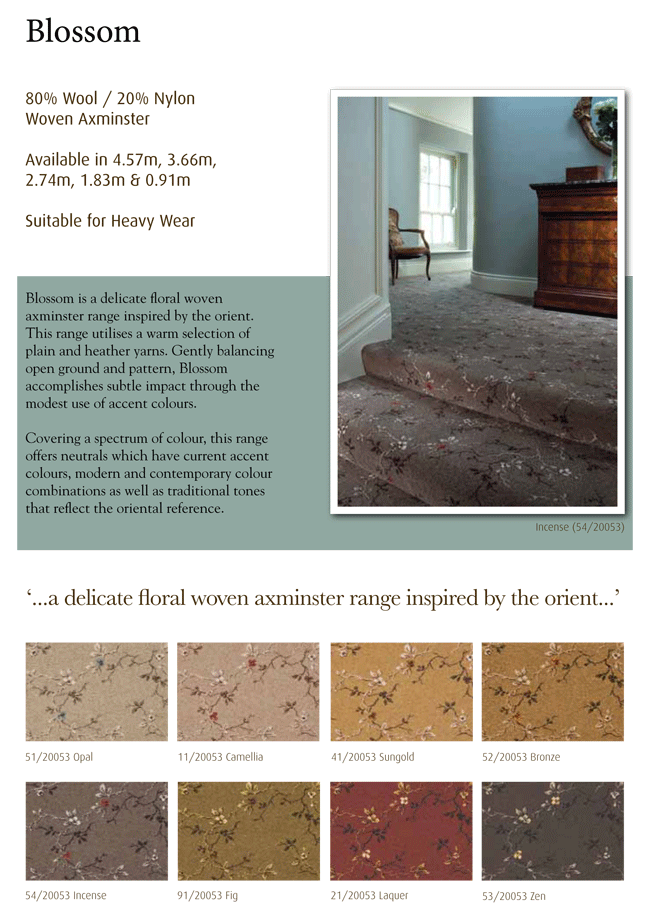 Ulster Carpets Blossom best price