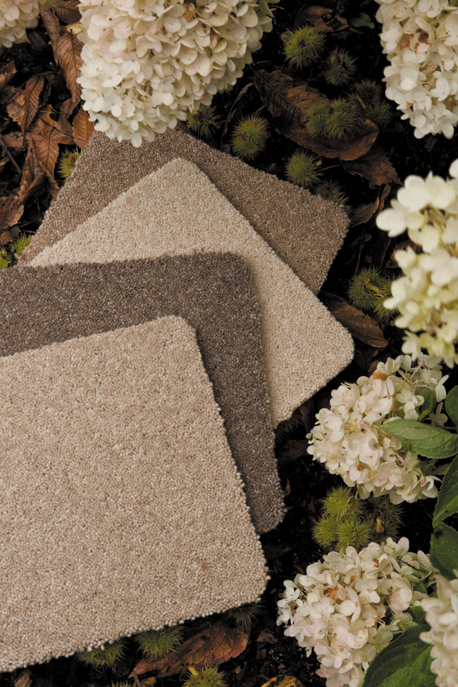 Ulster Carpets Natural Choice Axminster 3