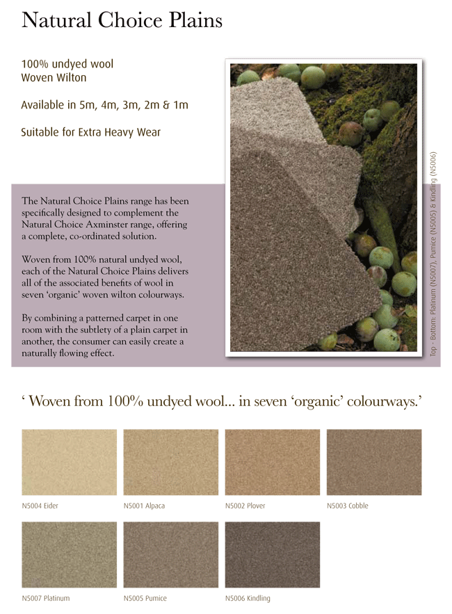Ulster Carpets Natural Choice Plains best price