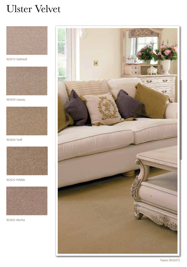 Ulster Carpets Ulster Velvet best price