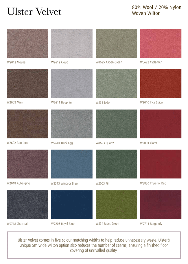 Ulster Carpets Ulster Velvet best price in the country