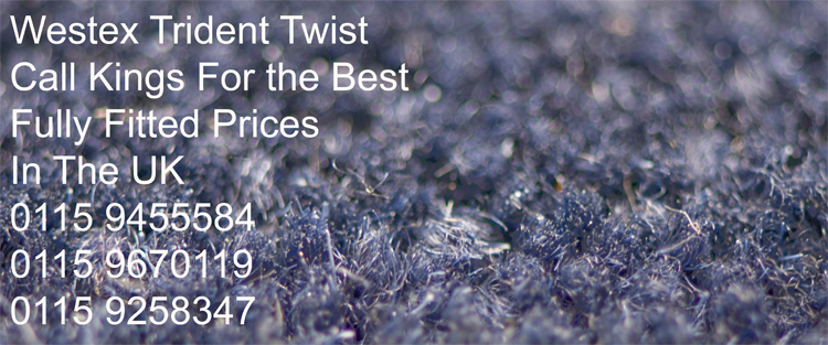 Westex Ultima Collection - Trident Blueberry At the heart of Westex carpets is the Ultima Collection, with 120 colours in 8 different qualities