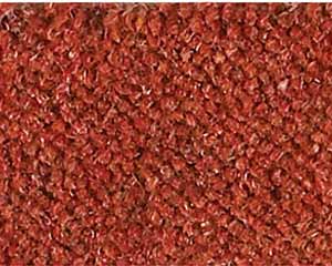 Westex Ultima Collection - penultima Mocha At the heart of Westex carpets is the Ultima Collection, with 120 colours in 8 different qualities