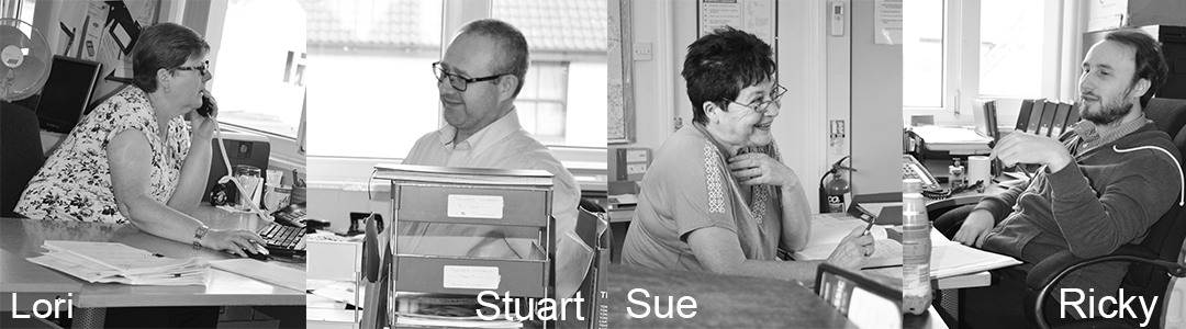The office team