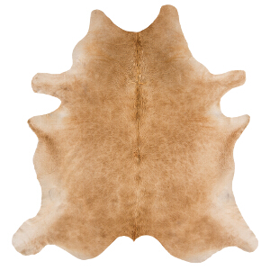 Asiatic Rugs Contemporary Home Rodeo Cowhide Solid Beige