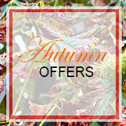 Autumn Offers