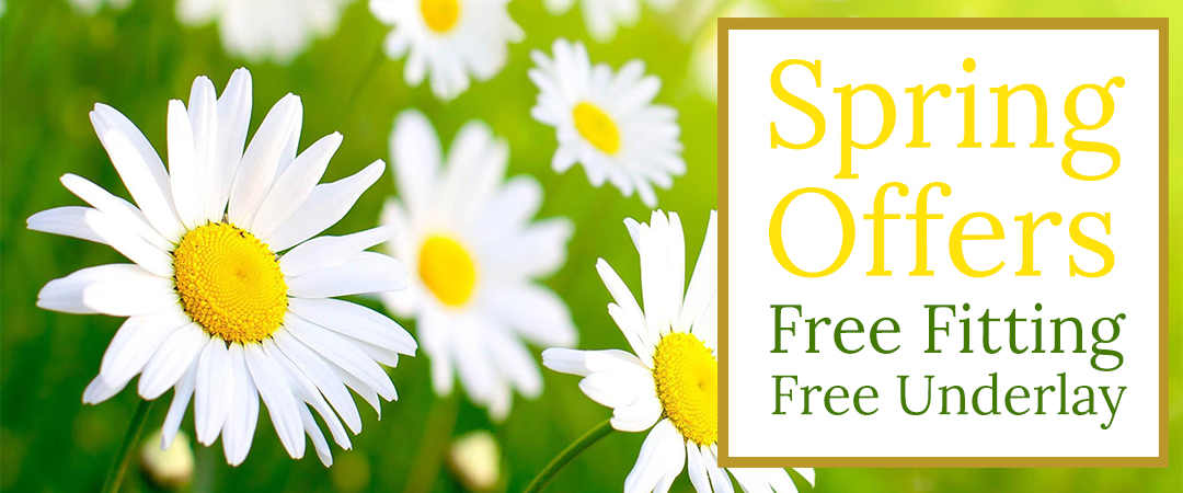 Spring Offers 2108