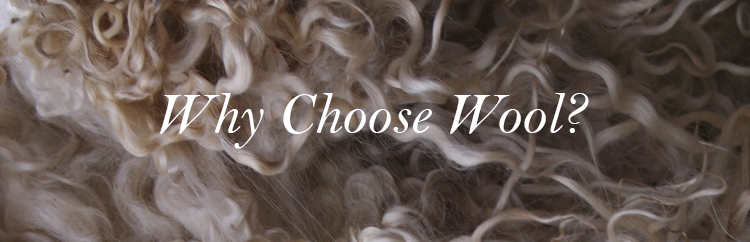 Why Choose a Wool Carpet, what are the benefits of choosing wool flooring.