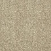 Abingdon Carpets Stainfree Aristocat Desert Sands
