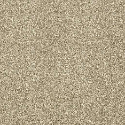 Abingdon Carpets Stainfree Aristocat Desert Sands