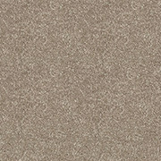 Abingdon Carpets Stainfree Satin Touch Cashmere