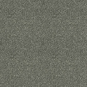 Abingdon Carpets Stainfree Sohisticat Titanium
