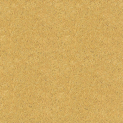 Abingdon Carpets Stainfree Sophisticat Gold