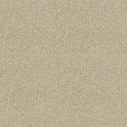 Abingdon Carpets Stainfree Ultra Moccasin