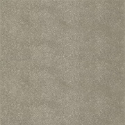 Alternative Flooring Plush Velvet Tourmaline Carpet 8205