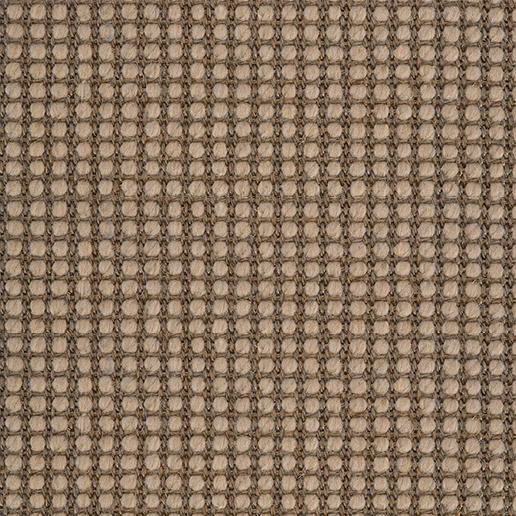 Crucial Trading Sisool Tric Caramel Carpet M807