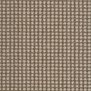 Crucial Trading Sisool Tric Mocha Carpet M808