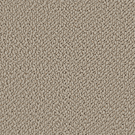 Crucial Trading Snug Soft Sands Carpet SN501