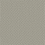 Crucial Trading Snug Starlight Grey Carpet SN503