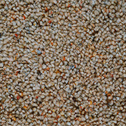 Adam Carpets Rustic Berber Twist Peppercorn RB07