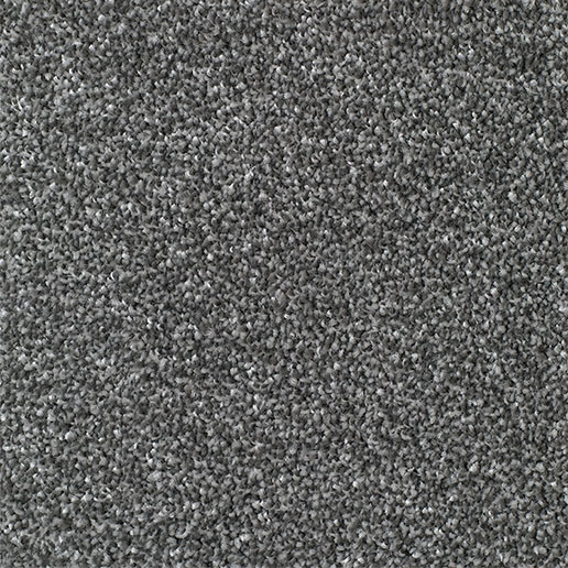 Everyroom Carpet Mullion Platinum