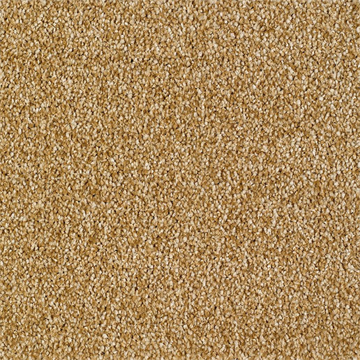 Everyroom Carpet Sennen Twist Gold