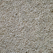 Toledo Twist 80% Wool 40oz Muted Stone 6.8m x 4m