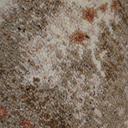 Axminster Carpets 100% Wool Ferndown Brown 2.75m x 3.66m
