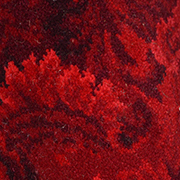 100% Wool Axminster Exeter Seashells in Red 2.90m x 3.43m