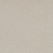 Stain Guard Saxony Polypropylene 4.3m x 4m