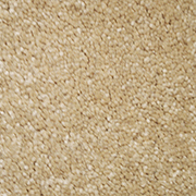 Polypropylene Twist Pile 3.89 x 2.94m