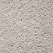 Wool Twist Pile 1.95m x 4m