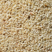 Wool Twist Pile 2.72m x 5m