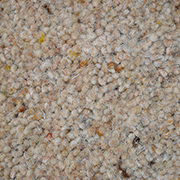 Wool Twist Pile Carpet 2.75m x 2.25m